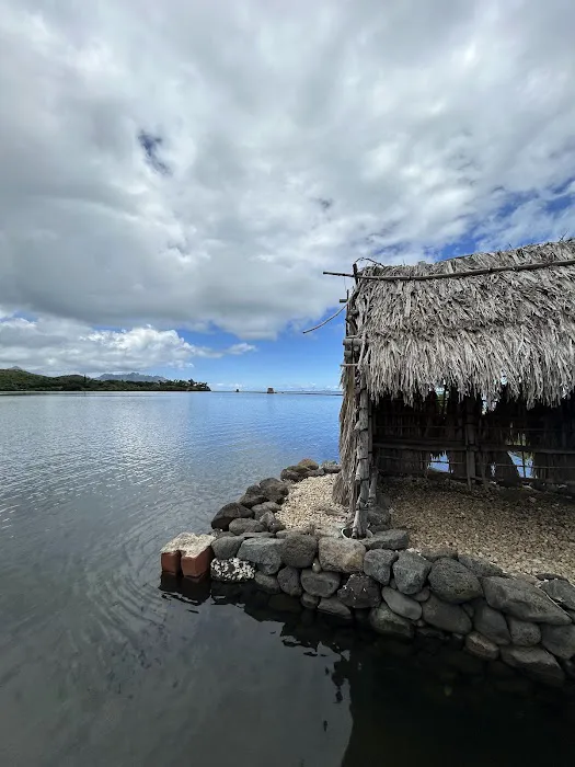 United Construction Group Hawaii Picture 10