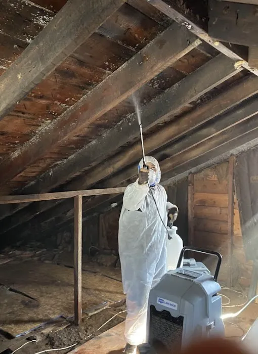 Rainbow Restoration of Oahu Picture 6