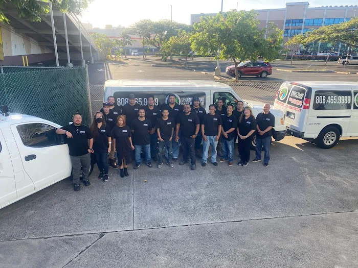 Urgent Island Restoration Picture 5