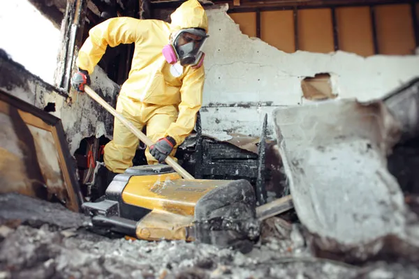 Urgent Island Restoration Picture 2