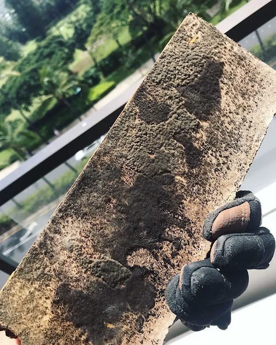 Urgent Island Restoration Picture 9