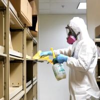 Eco Clean Hawaii ico