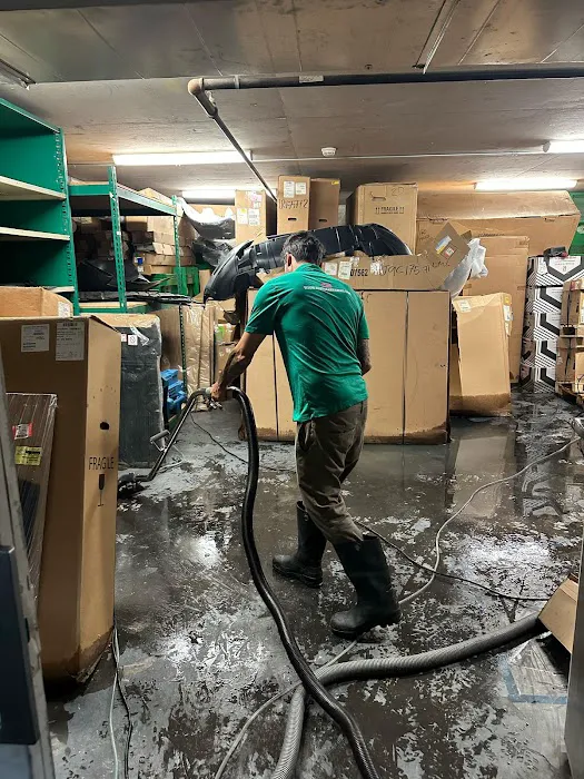 Eco Clean Hawaii Picture 5