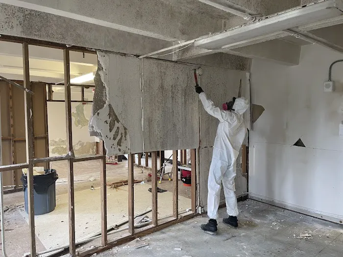 Eco Clean Hawaii Picture 8