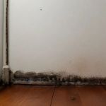 Mold RemovalPros