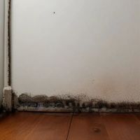 Mold RemovalPros ico