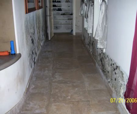 A1 Spotless Restoration