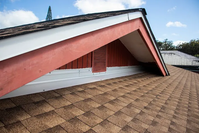 Kapili Roofing & Painting Picture 9