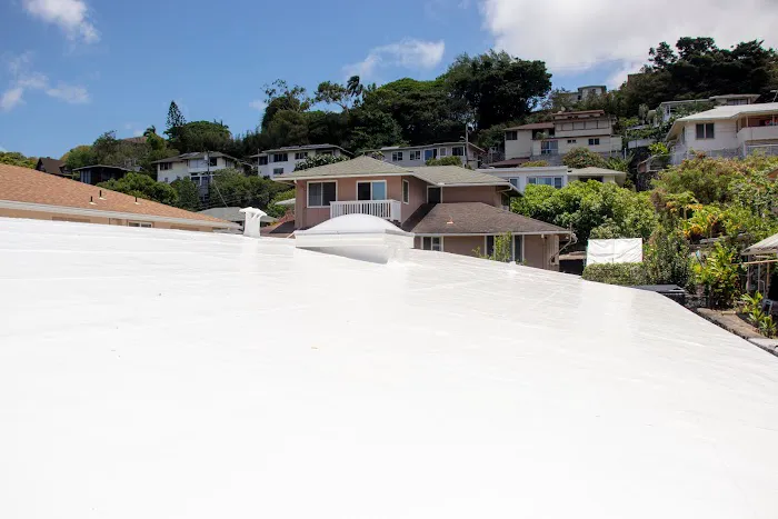 Kapili Roofing & Painting Picture 8