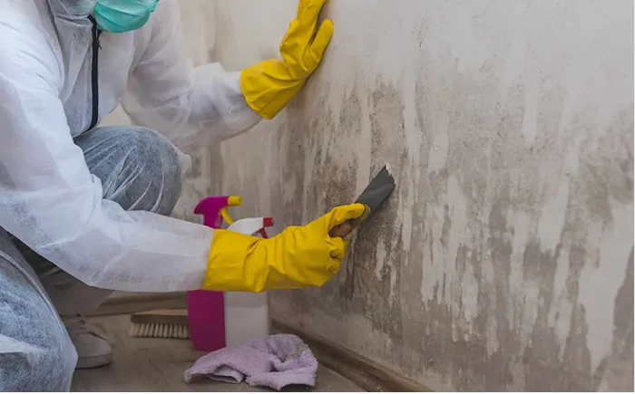 HBM Restoration Picture 2