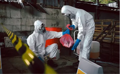 HBM Restoration Picture 7