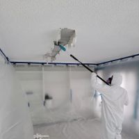 Hawaii Asbestos Abatement Services KR SERVICES LLC ico