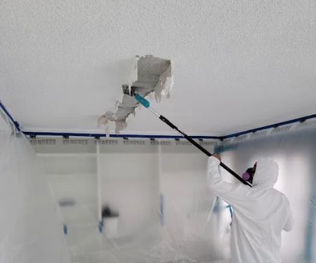 Hawaii Asbestos Abatement Services KR SERVICES LLC