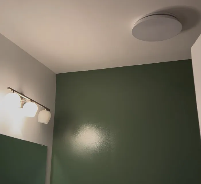 Mano Solutions | Honolulu Handyman & Painting Services Picture 1