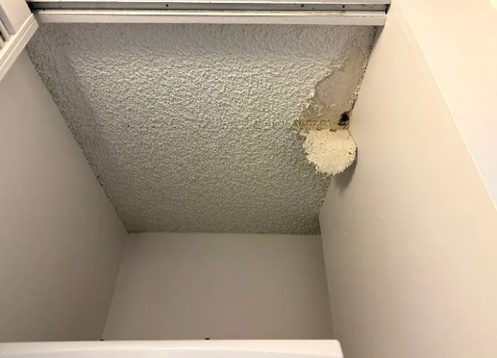 ABC Handyman Hawaii Picture 1