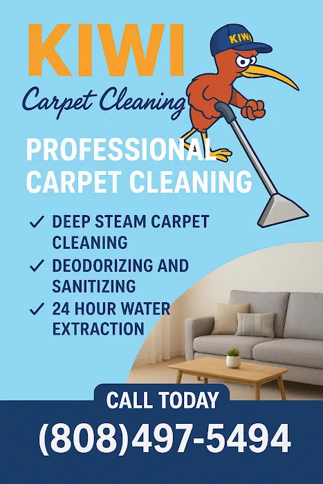 Kiwi Carpet Cleaning Picture 9