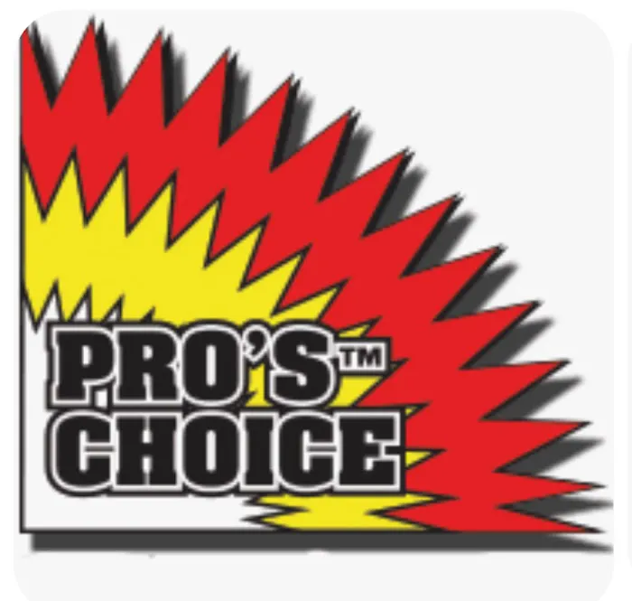 Kiwi Carpet Cleaning Picture 10