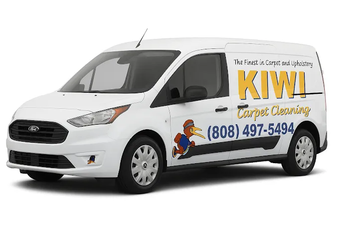 Kiwi Carpet Cleaning Picture 2