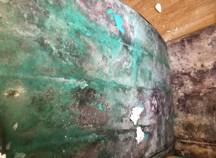 iMold Cleaning and Restoration - Water Damage and Mold Removal Specialists Picture 8