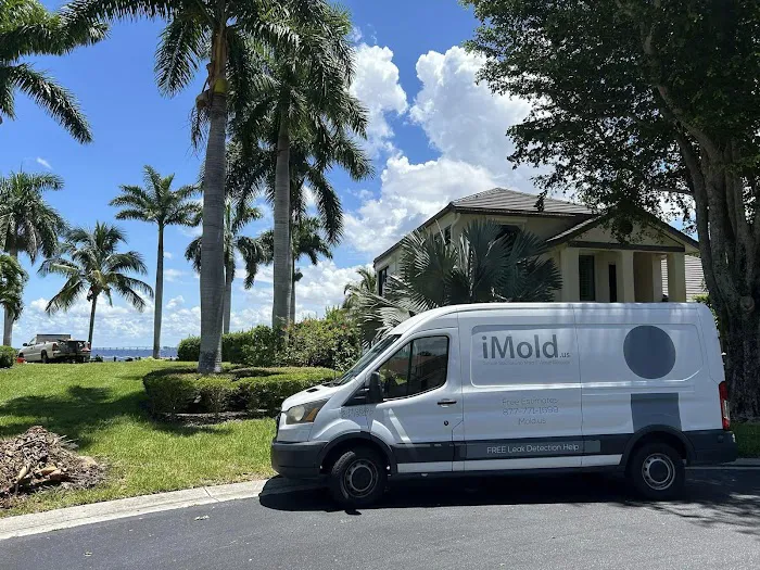 iMold Cleaning and Restoration - Water Damage and Mold Removal Specialists Picture 10