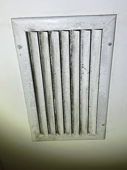 iMold Cleaning and Restoration - Water Damage and Mold Removal Specialists Picture 1