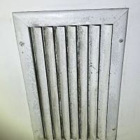 iMold Cleaning and Restoration - Water Damage and Mold Removal Specialists ico