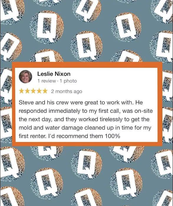 QCI Mold and Water Damage Picture 1