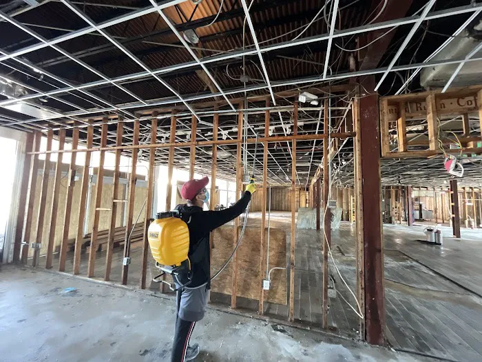 QCI Mold and Water Damage Picture 2