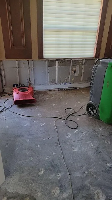 QCI Mold and Water Damage Picture 3