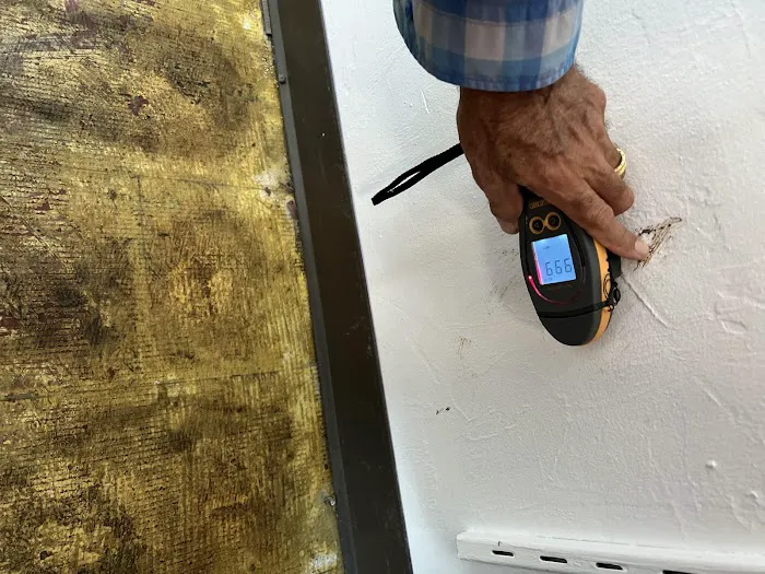 QCI Mold and Water Damage Picture 6