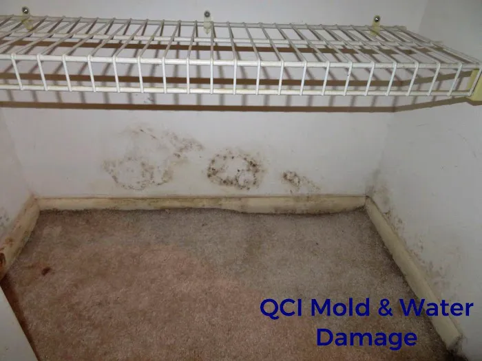 QCI Mold and Water Damage Picture 10