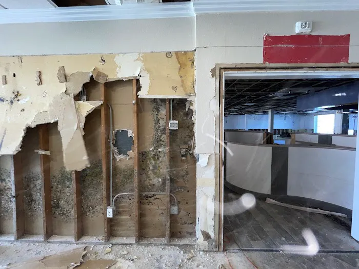 QCI Mold and Water Damage Picture 5