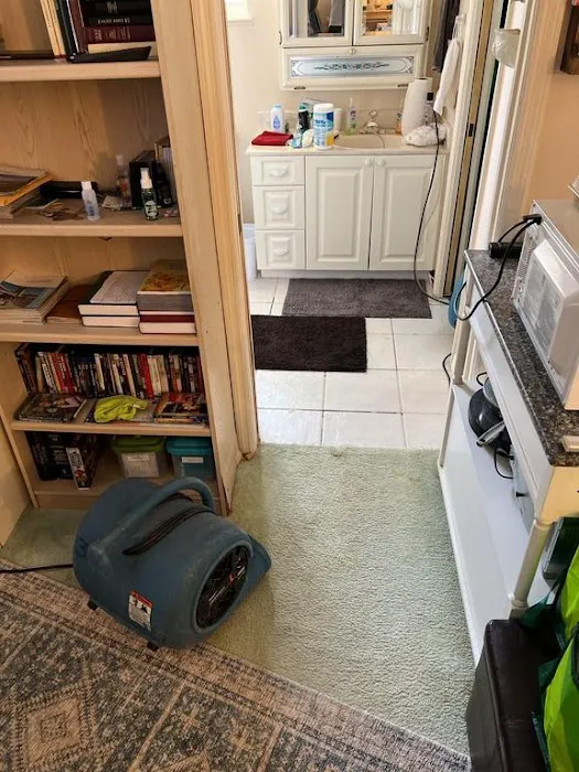 Flood Pros USA Picture 4