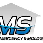 Emergency & Mold Specialists