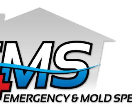 Emergency & Mold Specialists