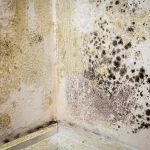 Water Damage & Flood Cleanup Bonita Springs