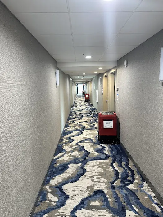 Aeret Restoration Picture 2