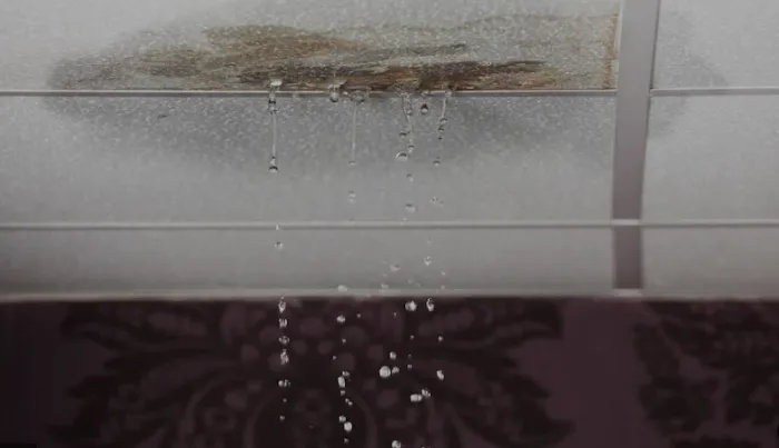 Konill Damage Repairs Picture 3