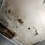 Water Damage & Flood Cleanup Bonita Springs