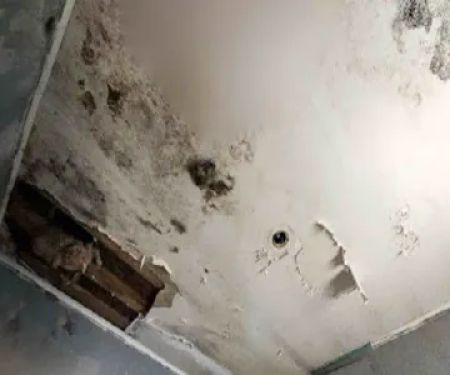 Water Damage & Flood Cleanup Bonita Springs