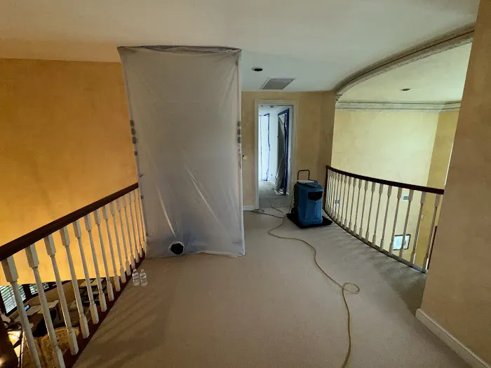 Dryzone Water & Mold Experts Picture 7