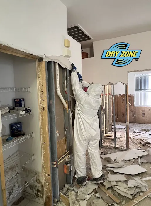 Dryzone Water & Mold Experts Picture 9