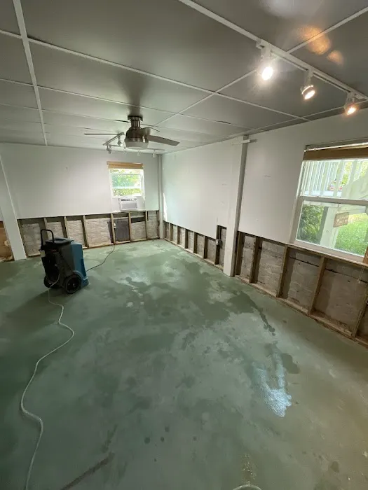 Dryzone Water & Mold Experts Picture 2