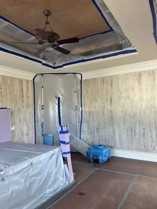 Dryzone Water & Mold Experts Picture 1