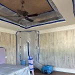 Dryzone Water & Mold Experts