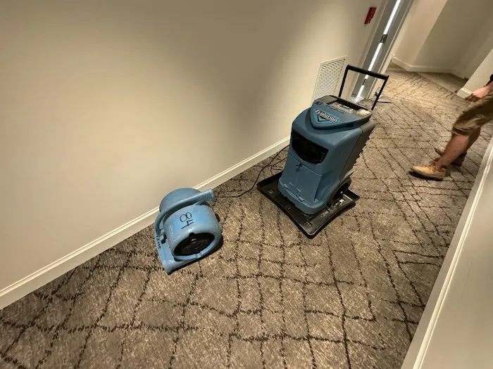 Dryzone Water & Mold Experts Picture 10