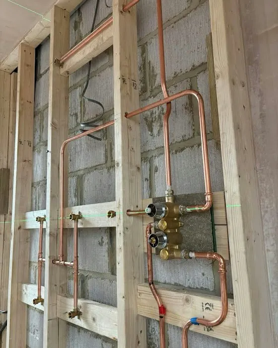 Twin Eagles Plumbing & Water Cleanup Picture 1