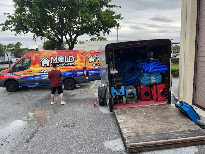 Mold Remediation of Naples Picture 5