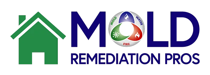 Mold Remediation of Naples Picture 7