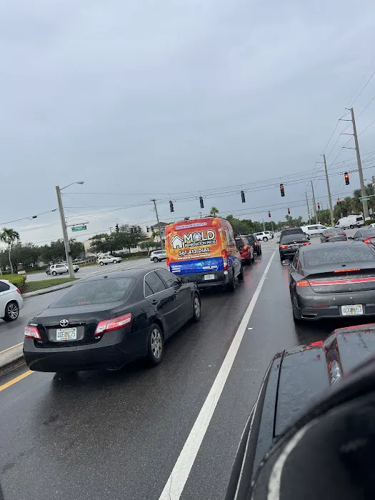 Mold Remediation of Naples Picture 2